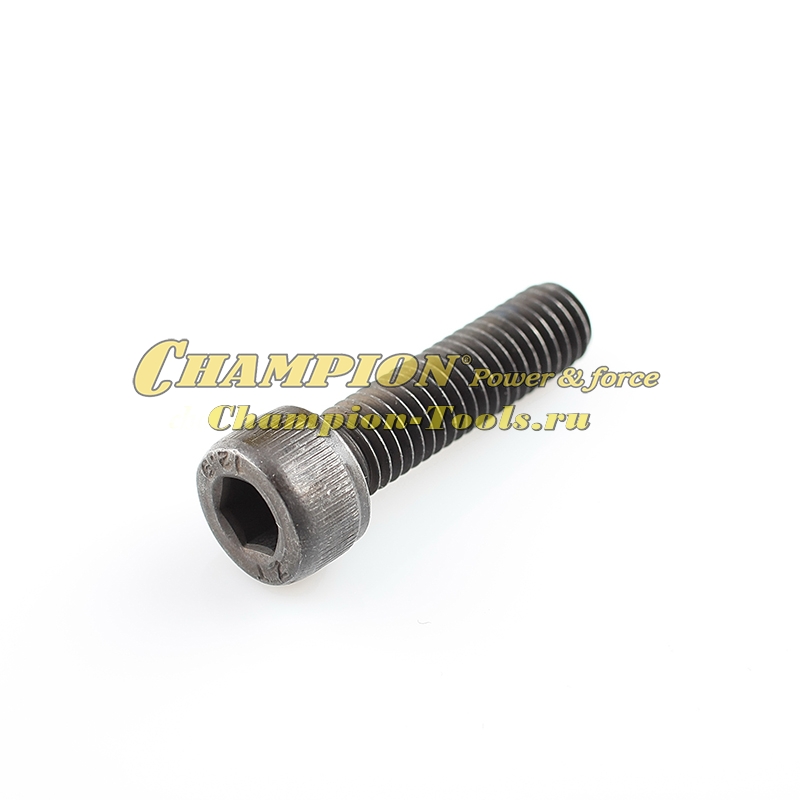 Болт крепления шнека AG152 AG243 AG252 М8х30