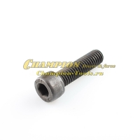 Болт крепления шнека AG152 AG243 AG252 М8х30