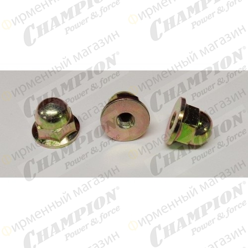 Гайка крепления крышки стартера LMH5640/ AM3062