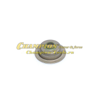 Колпачок маслосъемный G100HK-210HT/BC8734,9716/GG3200(EW)/ ST553 ST556 ST656 ST762Е 