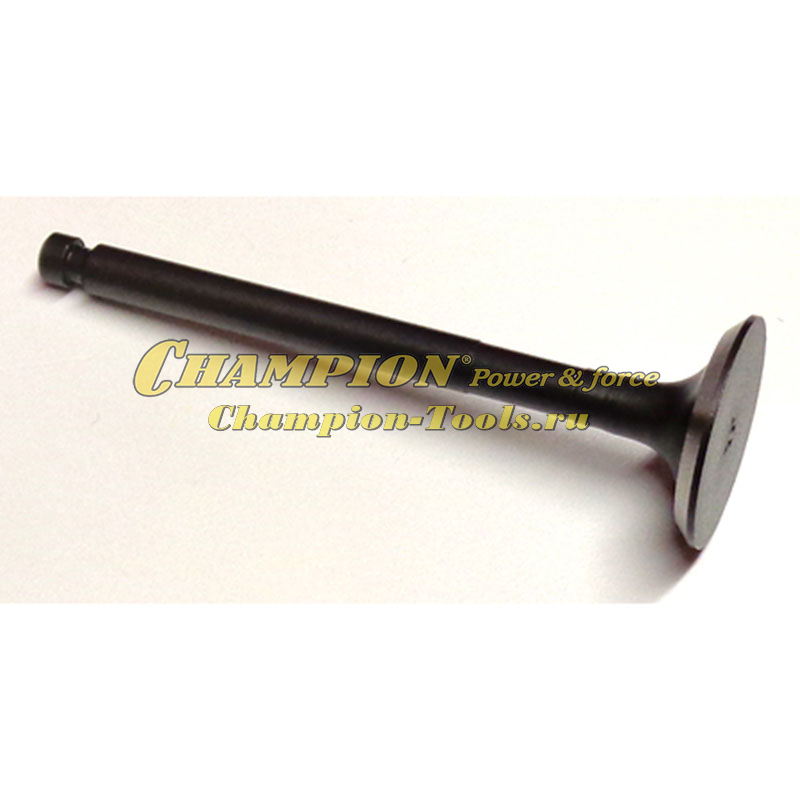 Клапан выпускной DG6000Е, DW190AE