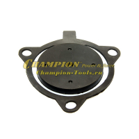 Клапан помпы GP50,52/DP50 обратный см.039021800700