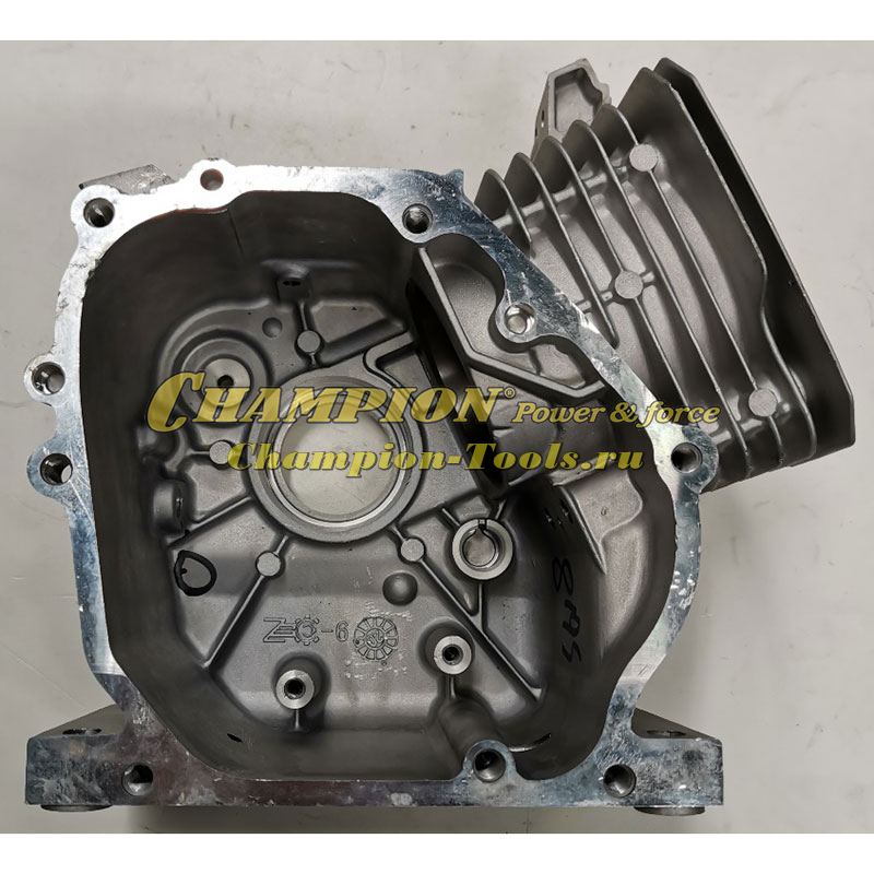 Картер GG2000, 3000 212 cc 2019 г с с / н