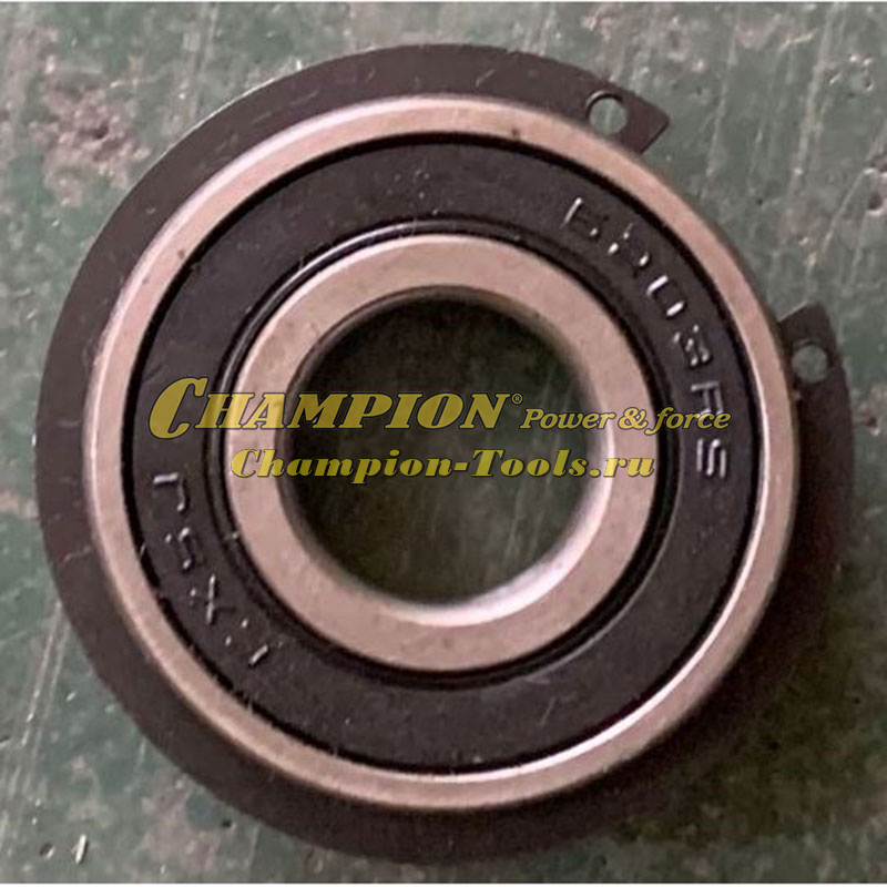 Подшипник 6000-2ZN со стопорным кольцом ST655