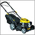 Champion LM4630
